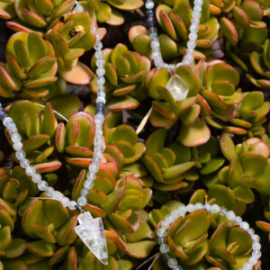 “Corona de Luz” Conexión, Elevación y Silencio Interior